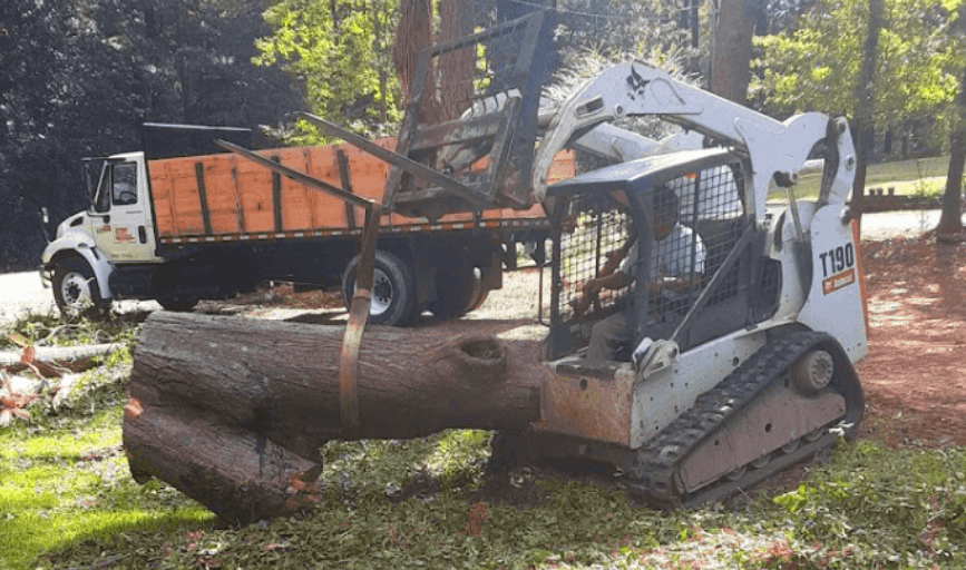 Carlos Tree Service
